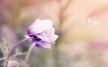 六月幼儿园工作计划8篇