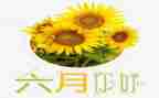 幼儿中班六月份工作总结5篇