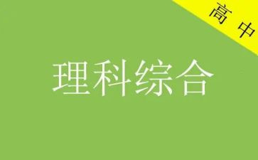 理综组工作总结7篇