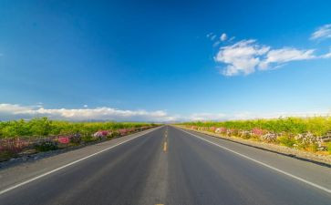 道路交通宣传总结6篇