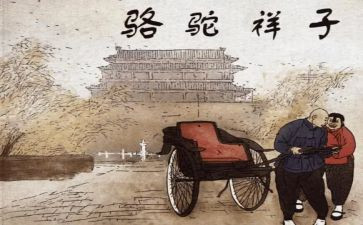 骆驼祥子的心得体会精选6篇