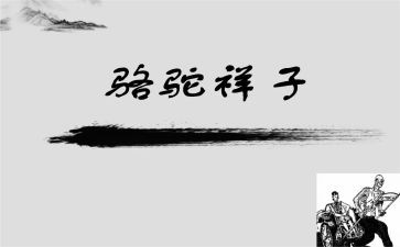 骆驼祥子500字作文读后感7篇