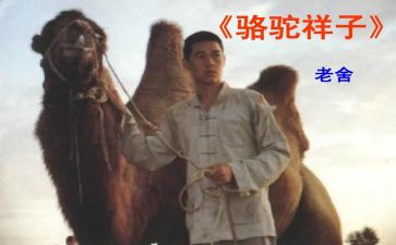 骆驼祥子的心得体会5篇