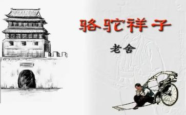小骆驼教案5篇
