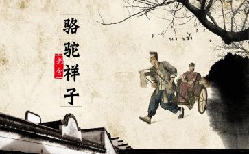 骆驼翔子读后感精选8篇