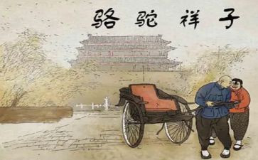 跳骆驼教案5篇