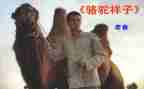 骆驼祥子的心得体会最新7篇