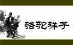 骆驼翔子读后感7篇