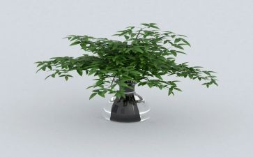 绿色环保生活演讲稿5篇