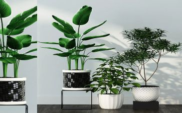 绿化工个人总结工作总结范文5篇