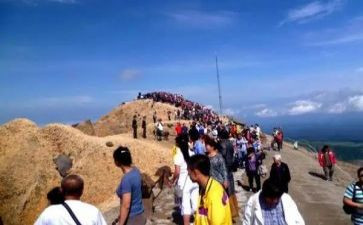 疫后旅游调查报告8篇