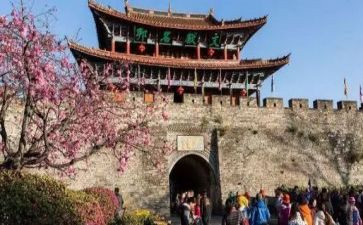 做旅游的工作总结模板7篇