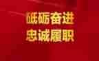 教师履职考核总结范文5篇