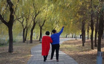 校园漫步作文7篇