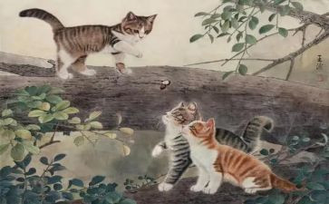 猫的试讲教案优质8篇