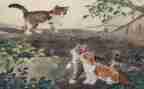 写熊猫的作文300字6篇
