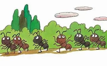 蚂蚁来了科学教案8篇