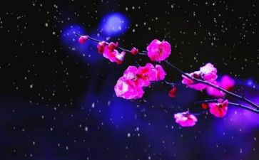 梅花幼儿园教案7篇