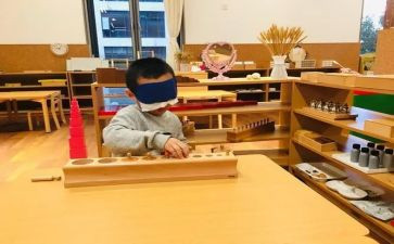 幼儿园蒙氏老师学期总结5篇