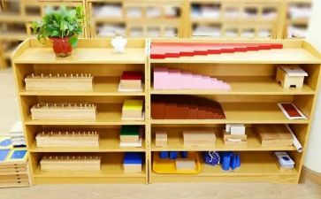 蒙氏幼儿园试用期工作总结5篇