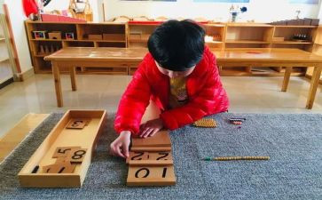 幼儿园蒙氏大班个人总结最新5篇