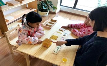 学蒙台梭利的心得体会6篇