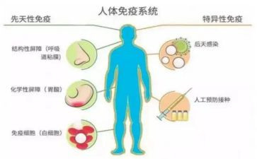 计划免疫工作计划通用7篇