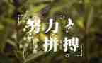 《名人传》的读后感优秀7篇