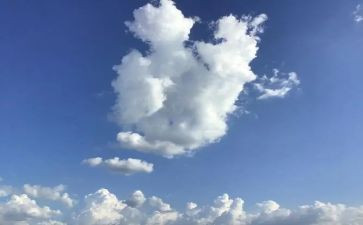 《明天的我》作文6篇