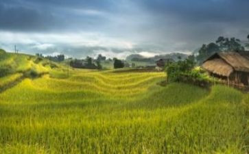 命运与作文最新8篇