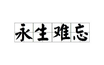 难以忘怀的爱作文模板8篇