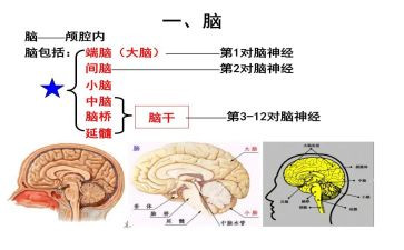 学电脑的小学作文7篇