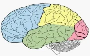 保持清醒头脑的作文7篇