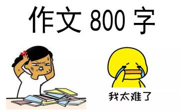 那时的我作文800字6篇