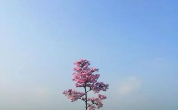 那一股暖流作文700字5篇