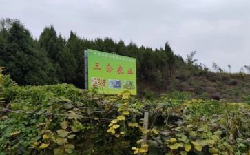 农产品买卖合同8篇