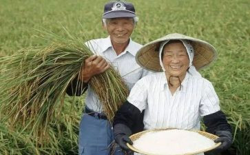 新型农民培训心得6篇