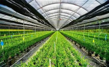 农业银行面试自我介绍范文5篇