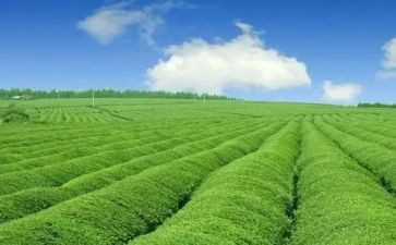 农业站工作总结范文优秀8篇