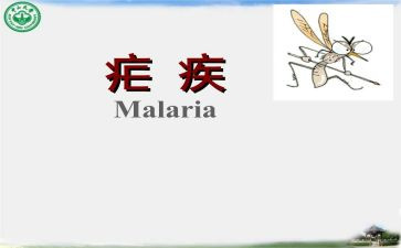 疟疾日活动总结7篇