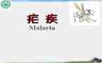 疟疾日活动总结7篇