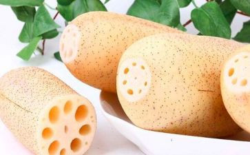 大班科学有趣的藕教案推荐6篇