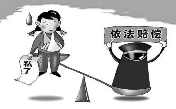 国家赔偿申请书模板6篇