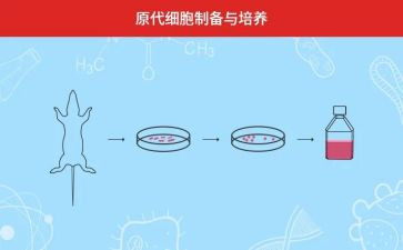家长们的培养孩子心得体会8篇