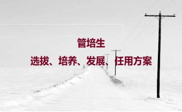 人才培养工作总结8篇