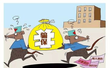 打击骗保专项治理工作总结6篇