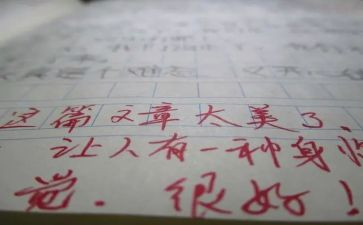 读后感作文带评语的作文参考5篇