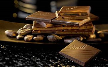 巧克力工厂的读后感通用6篇