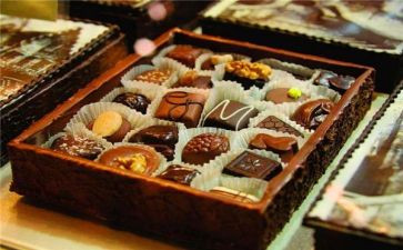 巧克力工厂的读后感6篇