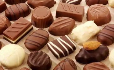 巧克力工厂的读后感模板5篇